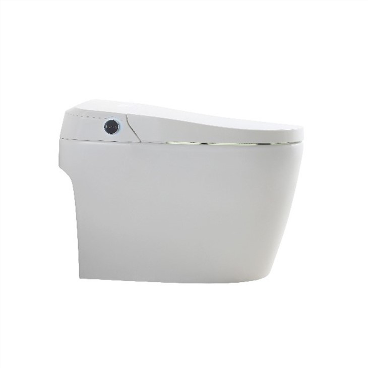 intelligent toilets