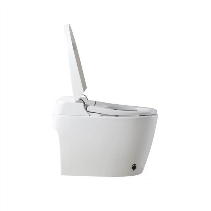 intelligent wc