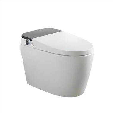 Toilettes intelligentes montées au sol